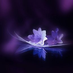 �����, �����, 52 ����