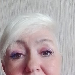 ���� ����� ����������, �����������, 64 ���� - ��������� 14 ������� 2026