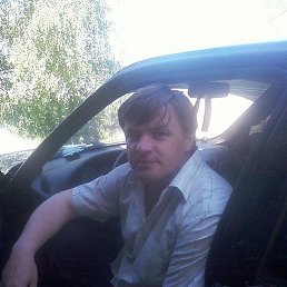 ����, ������-���������, 43 ����