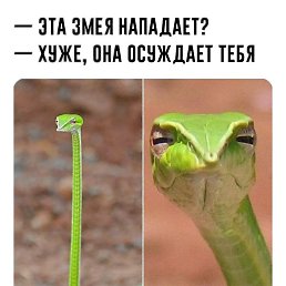Anton, ������, 18 ���