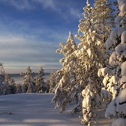 ������, ����, 18 ���