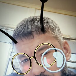 �����, ������, 36 ���