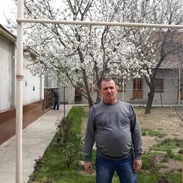 �������, 61 ���, ����