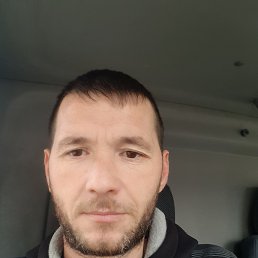 , 41, 