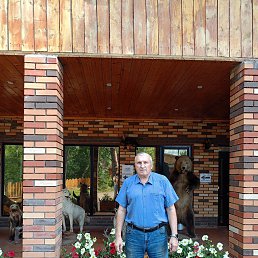 ����, 65 ���, �����