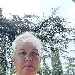 ���� ��������, ������, 62 ���� - ��������� 31 ������� 2023