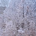 ���� ������, �����-��������� - ��������� 19 ����� 2025 � ������ ������ ��������