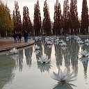 ���� �������, ������-��-���� - ��������� 25 ������ 2025 � ������ ���� ����������