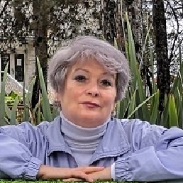 �������, ����, 66 ���