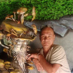 ., 53, 