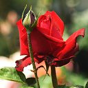 ���� Aleksandr, �����������, 64 ���� - ��������� 3 ���� 2025 � ������ ������ ��������