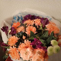 ���� ������, ��������, 70 ��� - ��������� 9 ��� 2026