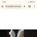 ���� ��� ���� ������� ��� ����, ����������� - ��������� 21 ������ 2025 � ������ ���� ����������