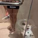 ���� �����, �������, 22 ���� - ��������� 5 ���� 2026