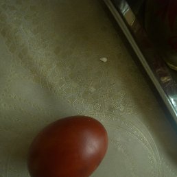 Anna, ����, 21 ���