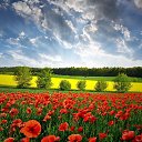 ���� ����, ������, 51 ��� - ��������� 9 ���� 2025 � ������ ���� ����������