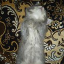 ���� �����, ��������, 54 ���� - ��������� 2 ������� 2025 � ������ ������ ��������