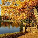 ���� �����, ����, 40 ��� - ��������� 3 �������� 2024 � ������ ������ 2024 (3/09/2023. 0:56)�