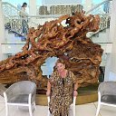 ���� �����, ������ - ��������� 23 ������� 2024 � ������ ���� ����������