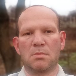 ����, ������, 40 ���