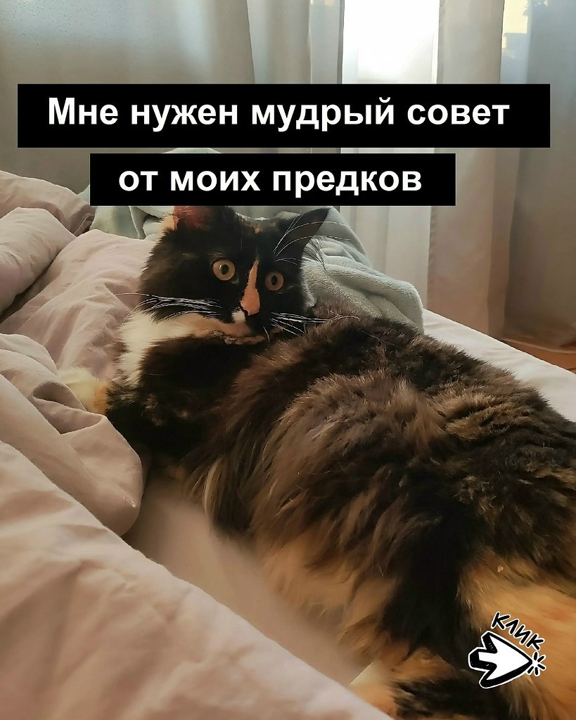 ��� ���� � ����� �� �� - 2 ���� 2026 � 21:55