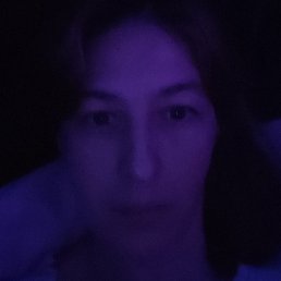 ���������, �����-���������, 41 ���