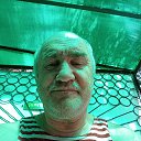 ���� ����, ����, 62 ���� - ��������� 16 ��� 2026 � ������ ���� ����������