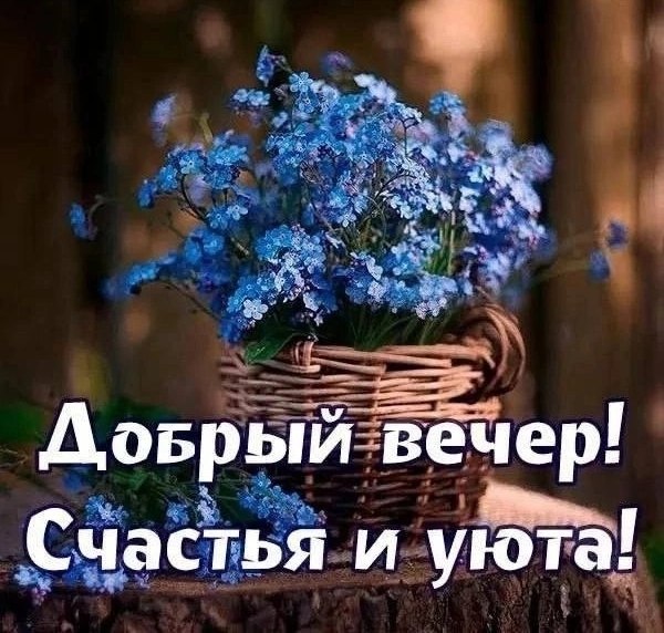   ,    . - 10  2025  16:54