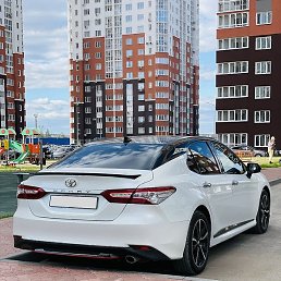 ������, �������, 33 ����