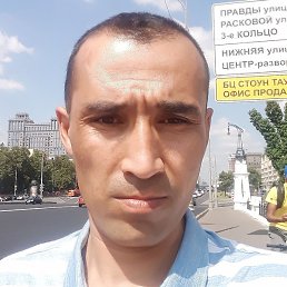 ��������, ���������, 41 ���