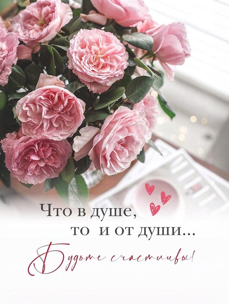   ,    . - 8  2025  17:16