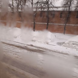 ���� �����, ������, 56 ��� - ��������� 18 ������� 2024