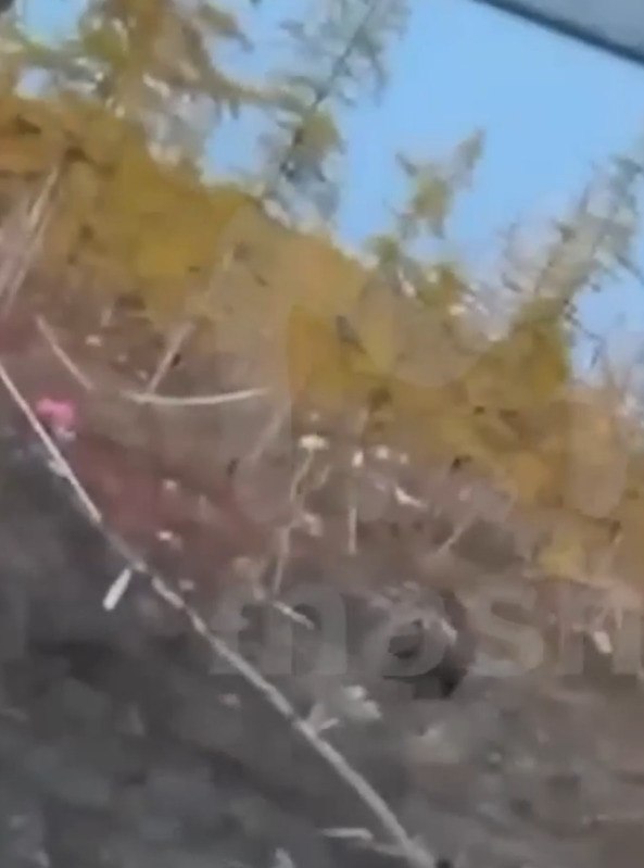 Mee-pyoe ac a pae  o pacoa ec o  ce oca ycox a peco ...