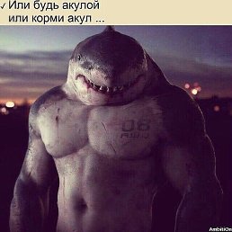 ���� ����, ������, 48 ��� - ��������� 15 ��� 2024