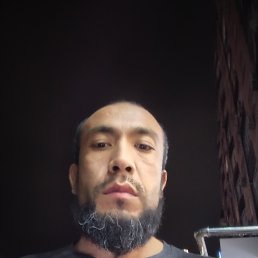 , 29, 