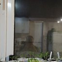 ���� Doniyor, ����, 23 ���� - ��������� 23 ����� 2024
