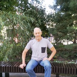 ���� ������, ������, 62 ���� - ��������� 8 ������ 2026