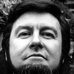 ������, 41 ���, ������