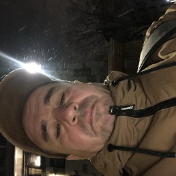 �����, ������, 46 ���