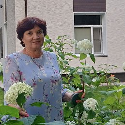 , 64, 