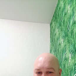 , 41, 