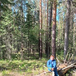 ���� ��������, ������������, 60 ��� - ��������� 29 ���� 2025