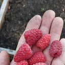 ���� ����, �������, 60 ��� - ��������� 16 ����� 2026