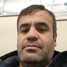 �����, ������, 41 ���