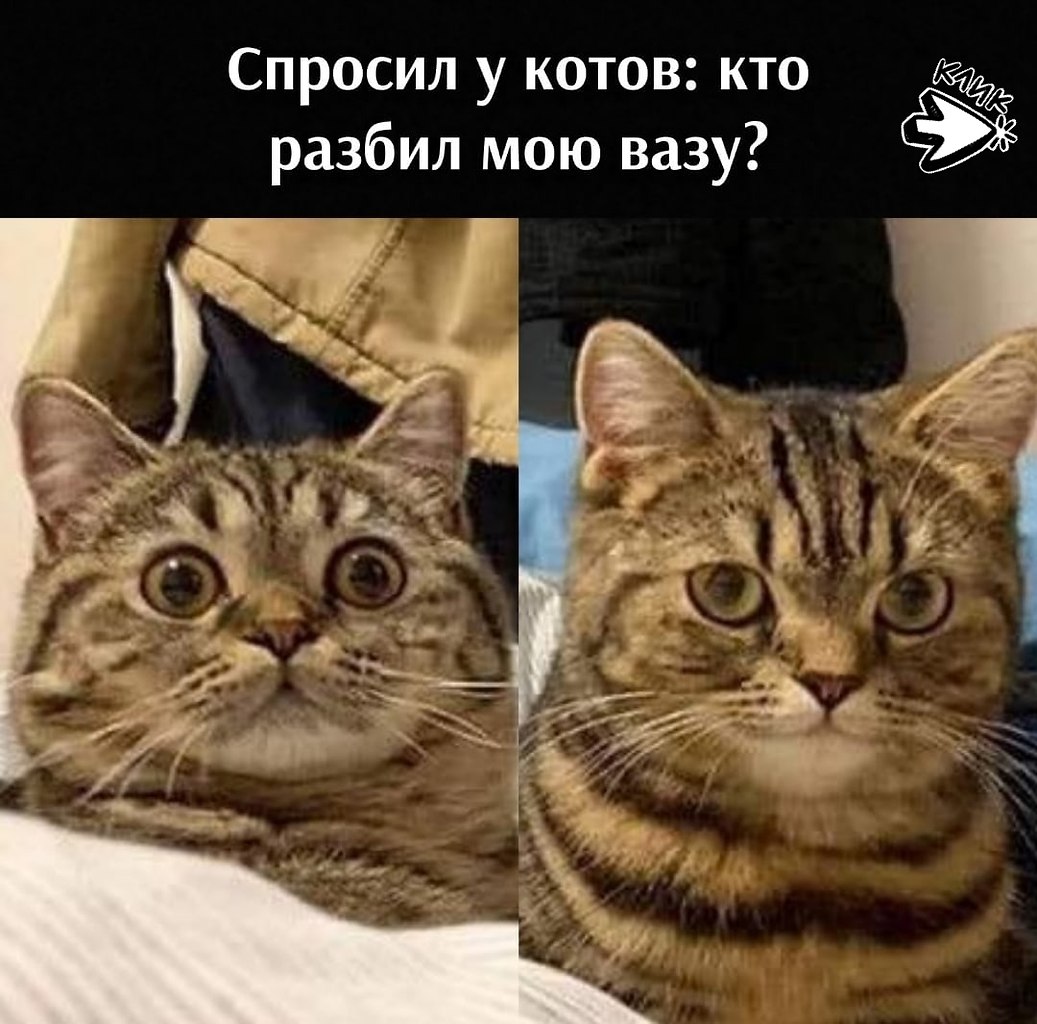 ��� ���� � ����� �� �� - 20 ����� 2026 � 17:00