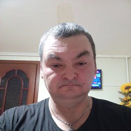 , 43, 