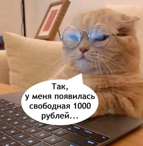 JPG - 23  2025  10:21