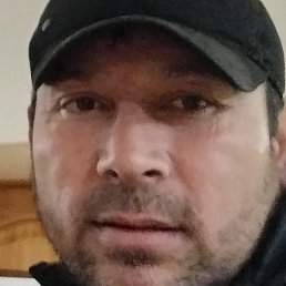 ����, �������, 41 ���