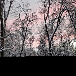 ���� ����, ������, 67 ��� - ��������� 25 ������� 2026