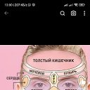 ���� Ali, �������, 40 ��� - ��������� 4 ������ 2023